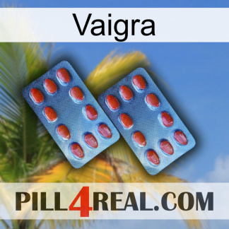 Vaigra 05